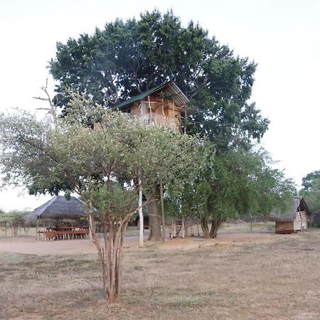 Yala Dream Park Hotel Exterior foto