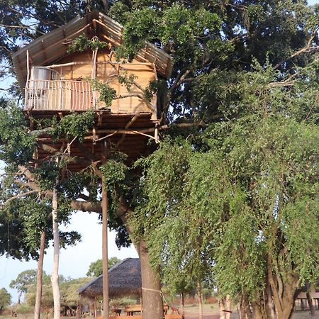 Yala Dream Park Hotel Exterior foto