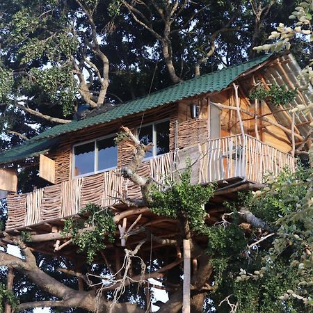 Yala Dream Park Hotel Exterior foto