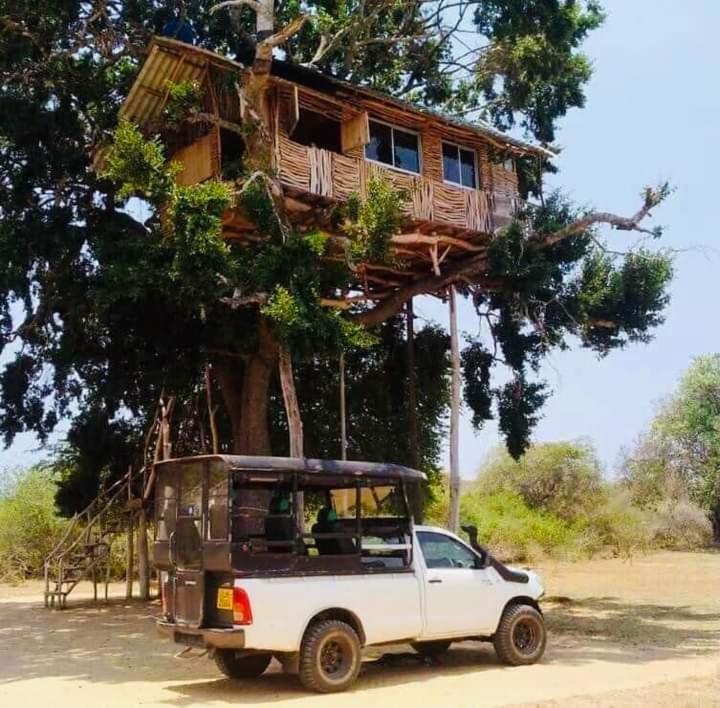 Yala Dream Park Hotel Exterior foto