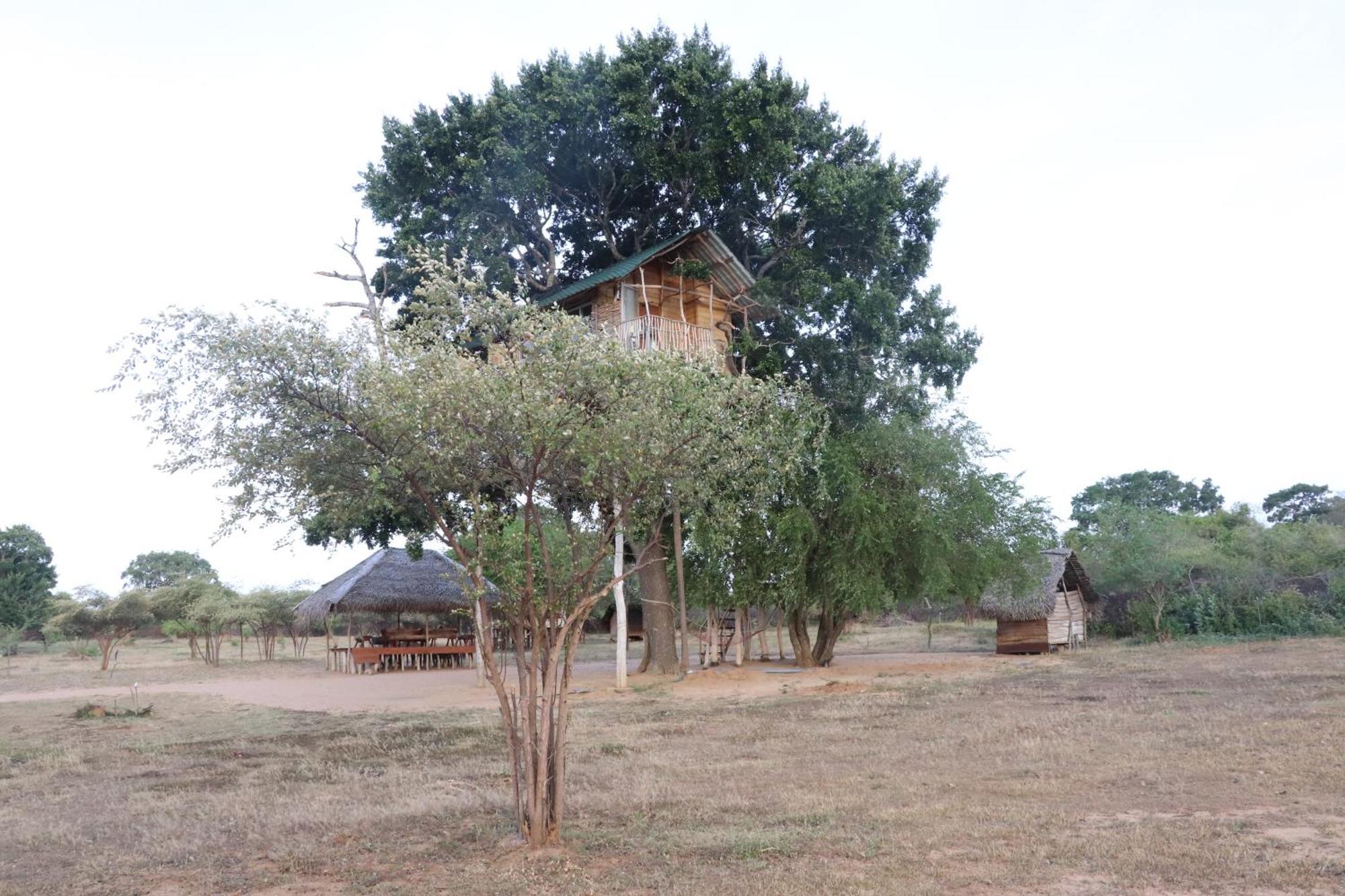 Yala Dream Park Hotel Exterior foto
