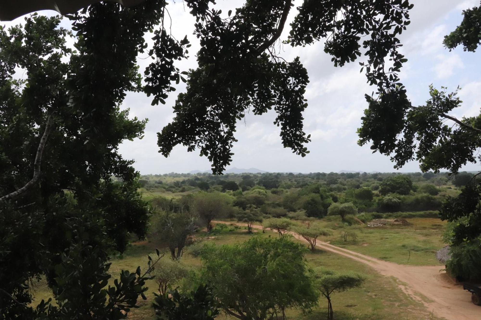 Yala Dream Park Hotel Exterior foto