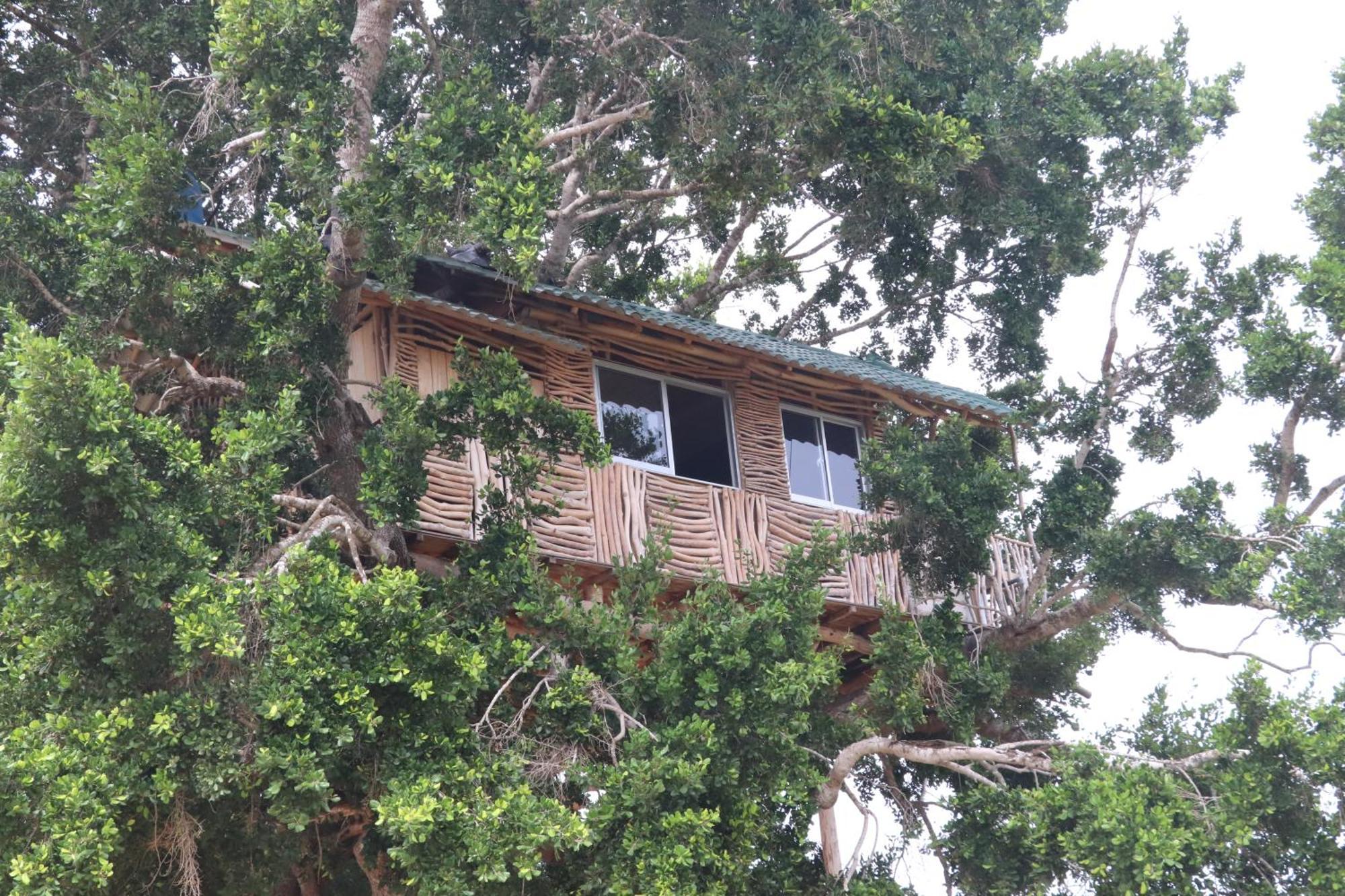 Yala Dream Park Hotel Exterior foto