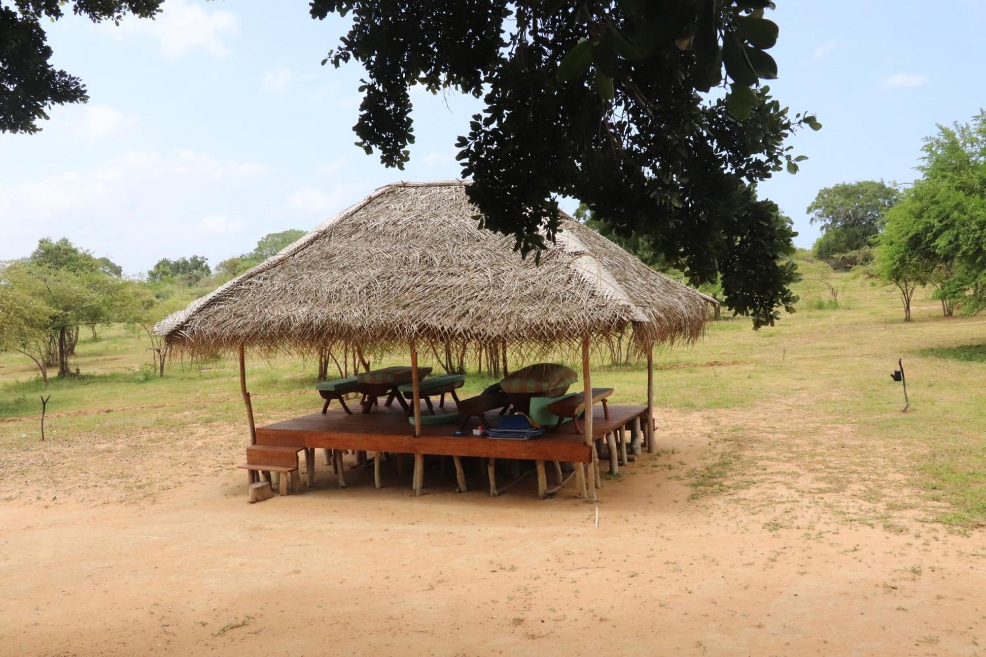 Yala Dream Park Hotel Exterior foto