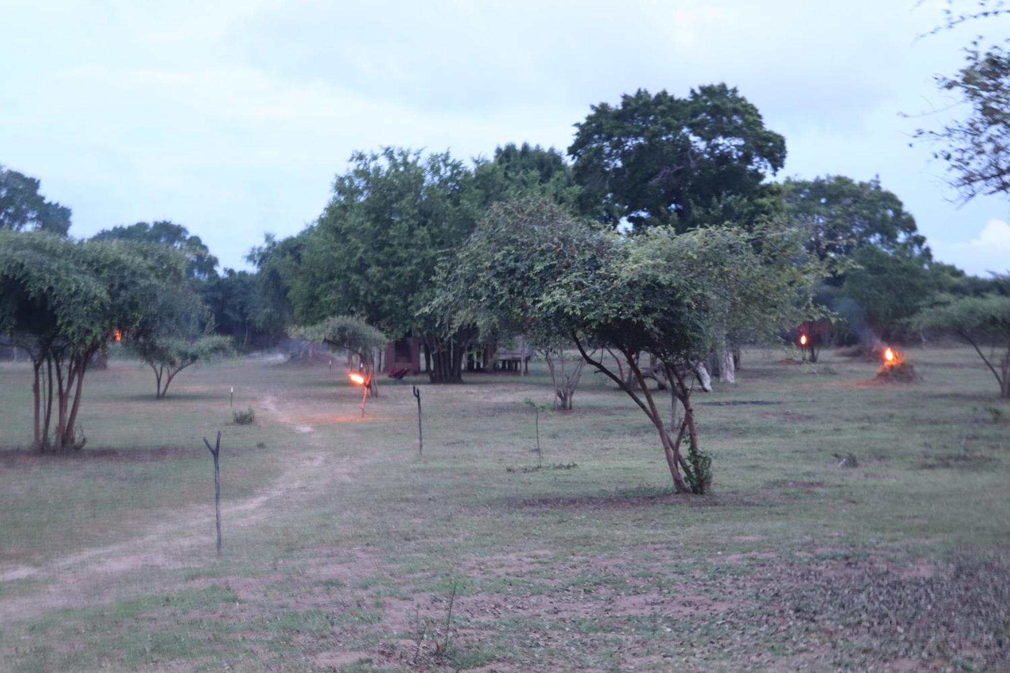 Yala Dream Park Hotel Exterior foto