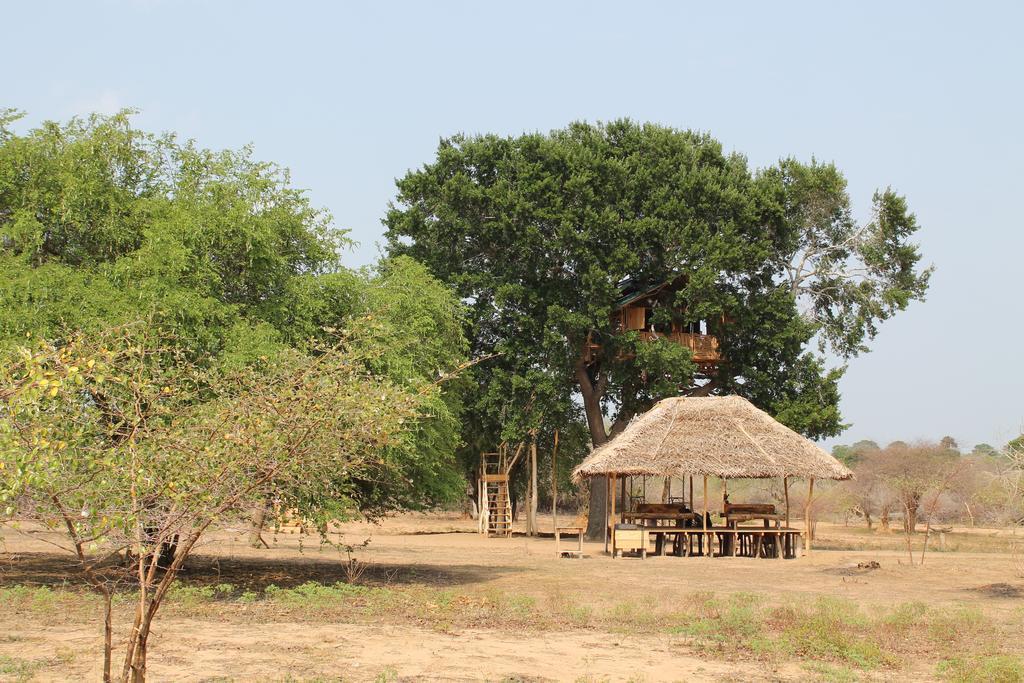 Yala Dream Park Hotel Exterior foto