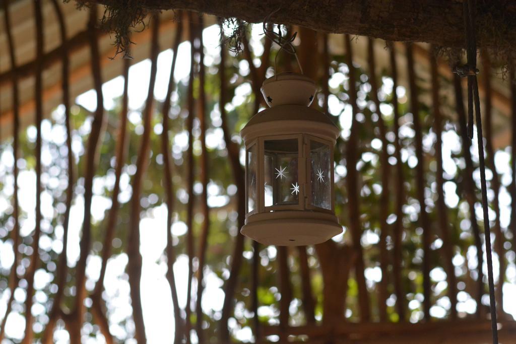Yala Dream Park Hotel Exterior foto