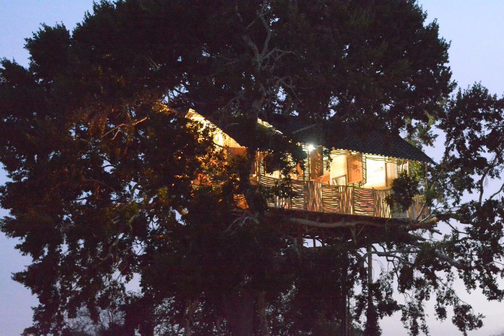 Yala Dream Park Hotel Exterior foto