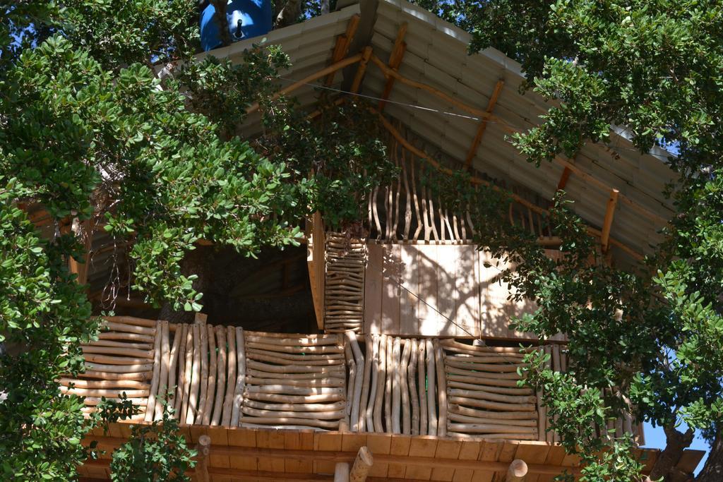 Yala Dream Park Hotel Exterior foto