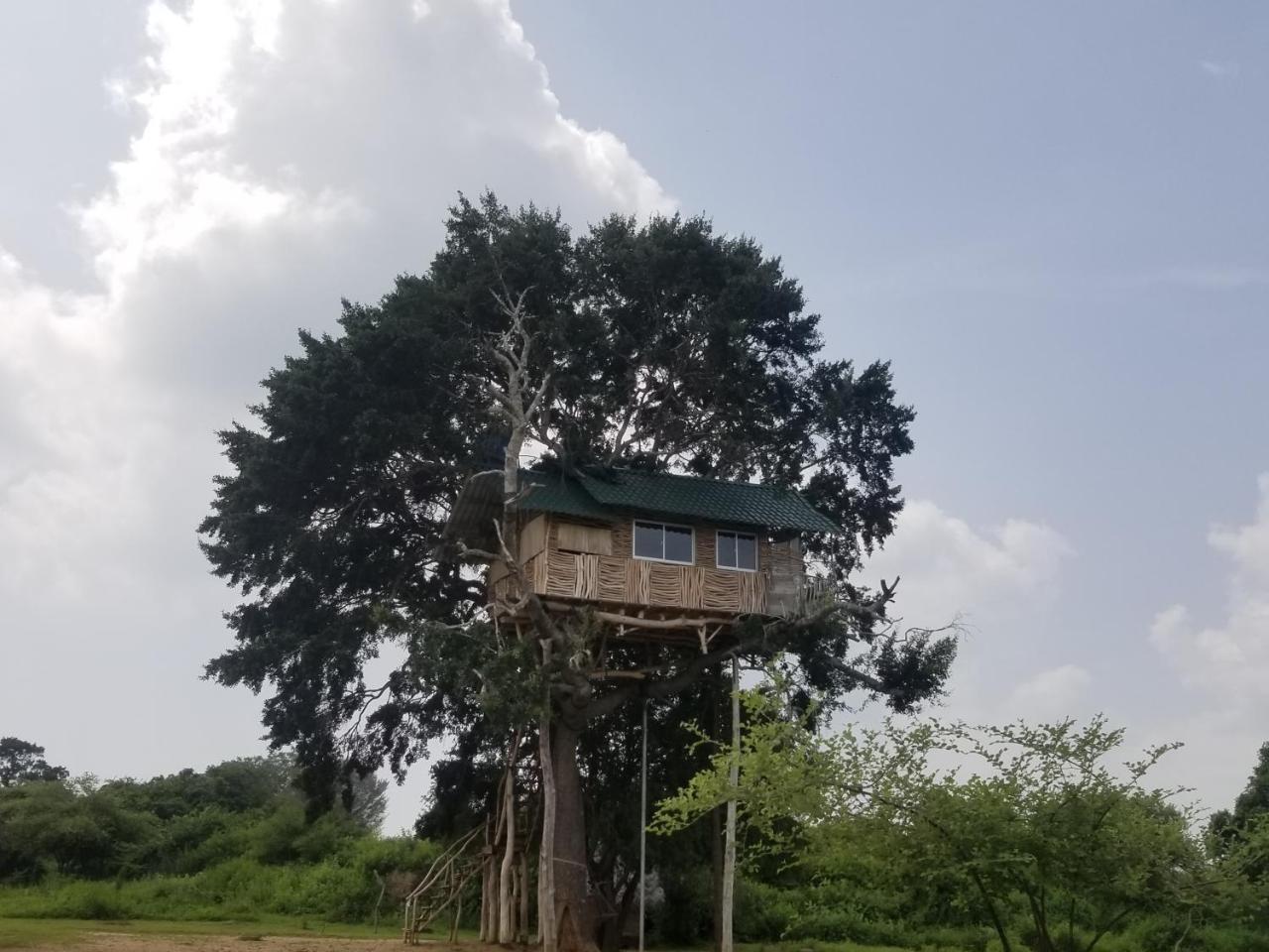Yala Dream Park Hotel Exterior foto